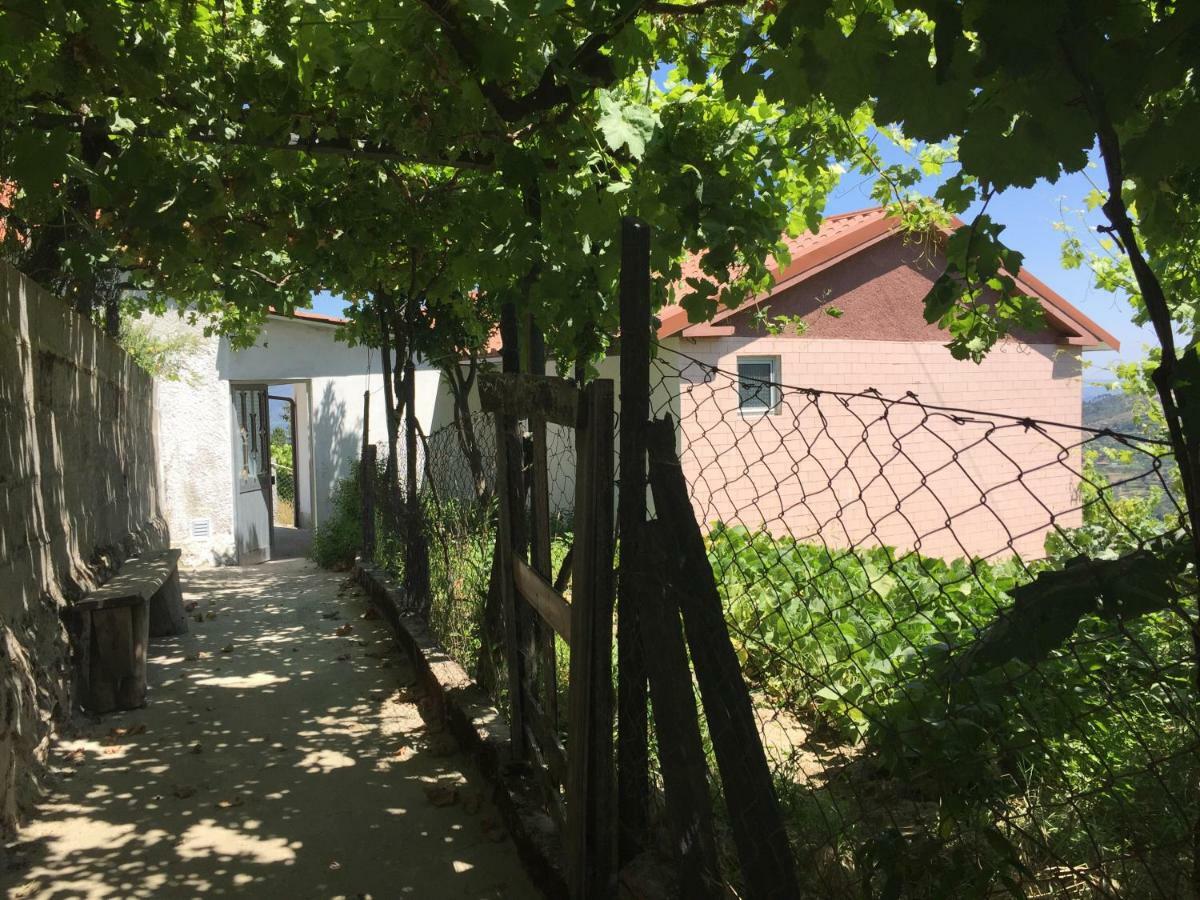 Alojamento Da Ribeirinha Carquere Екстер'єр фото